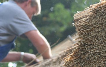 professional Pen Llyn thatchers